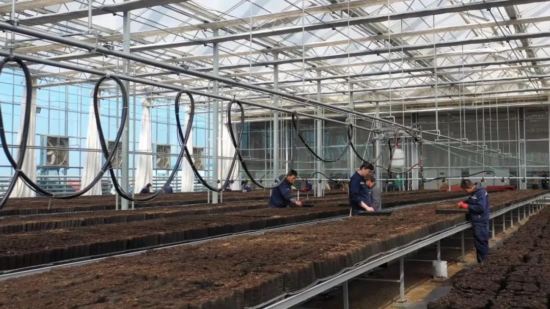 xh6388�����ء�(�й���)���޹�˾����