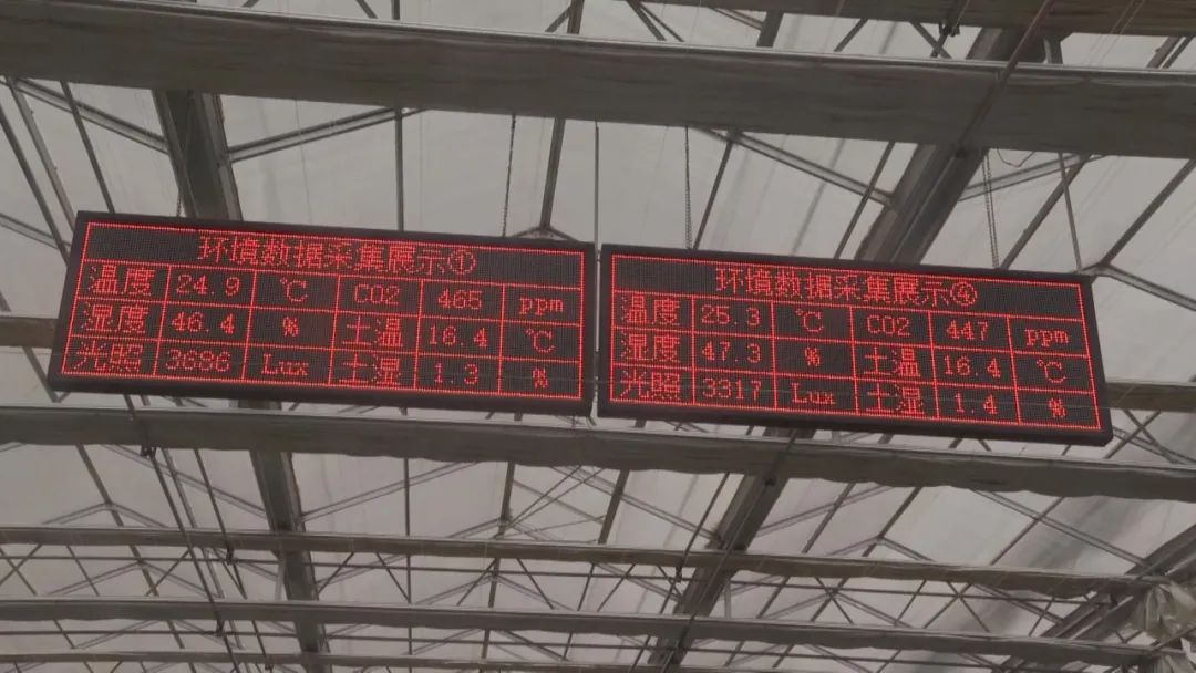 xh6388新濠天地·(中国区)有限公司官网