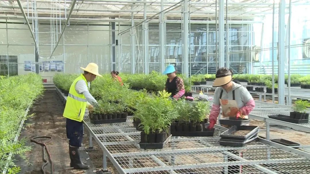 xh6388新濠天地·(中国区)有限公司官网