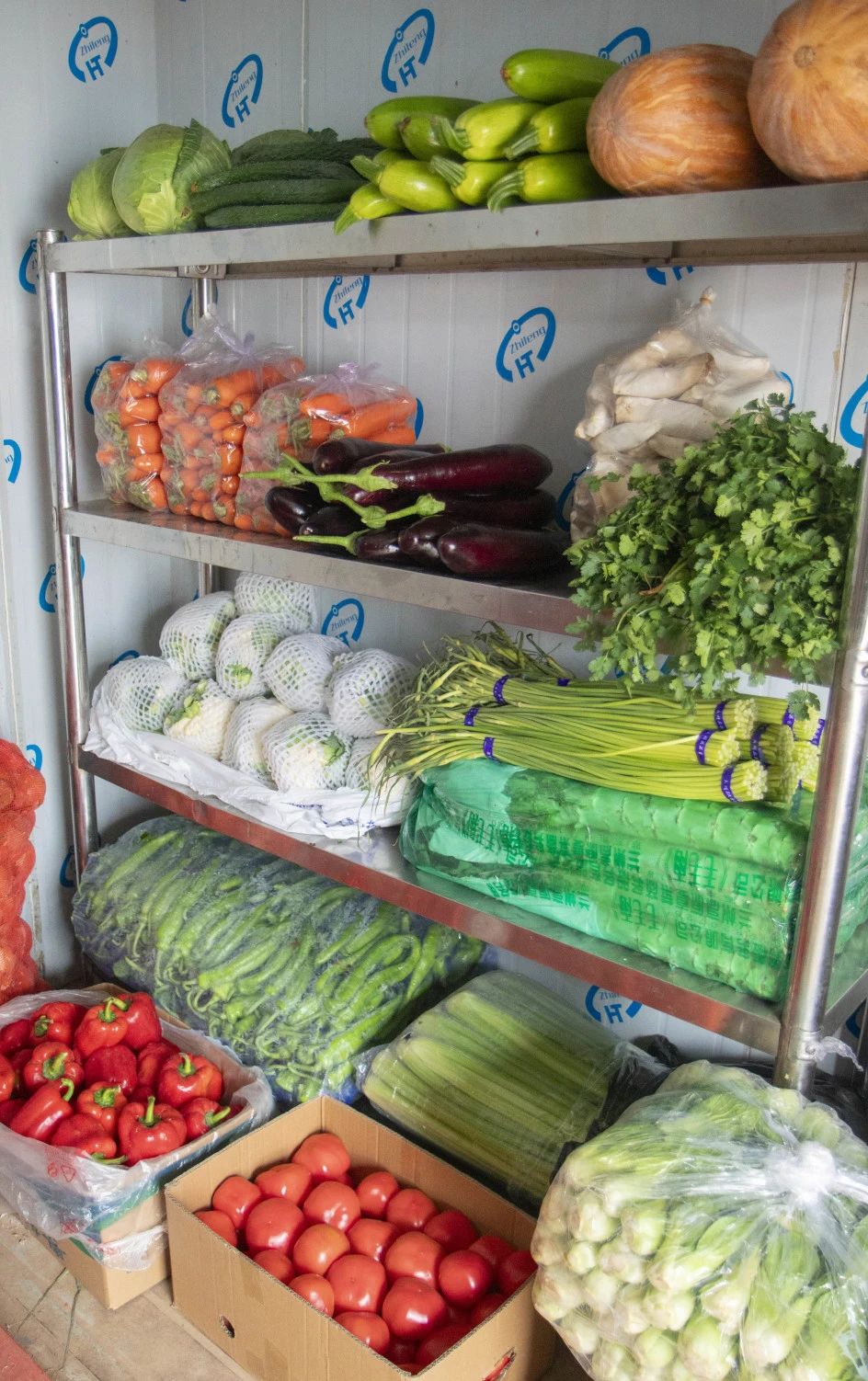 xh6388新濠天地·(中国区)有限公司官网