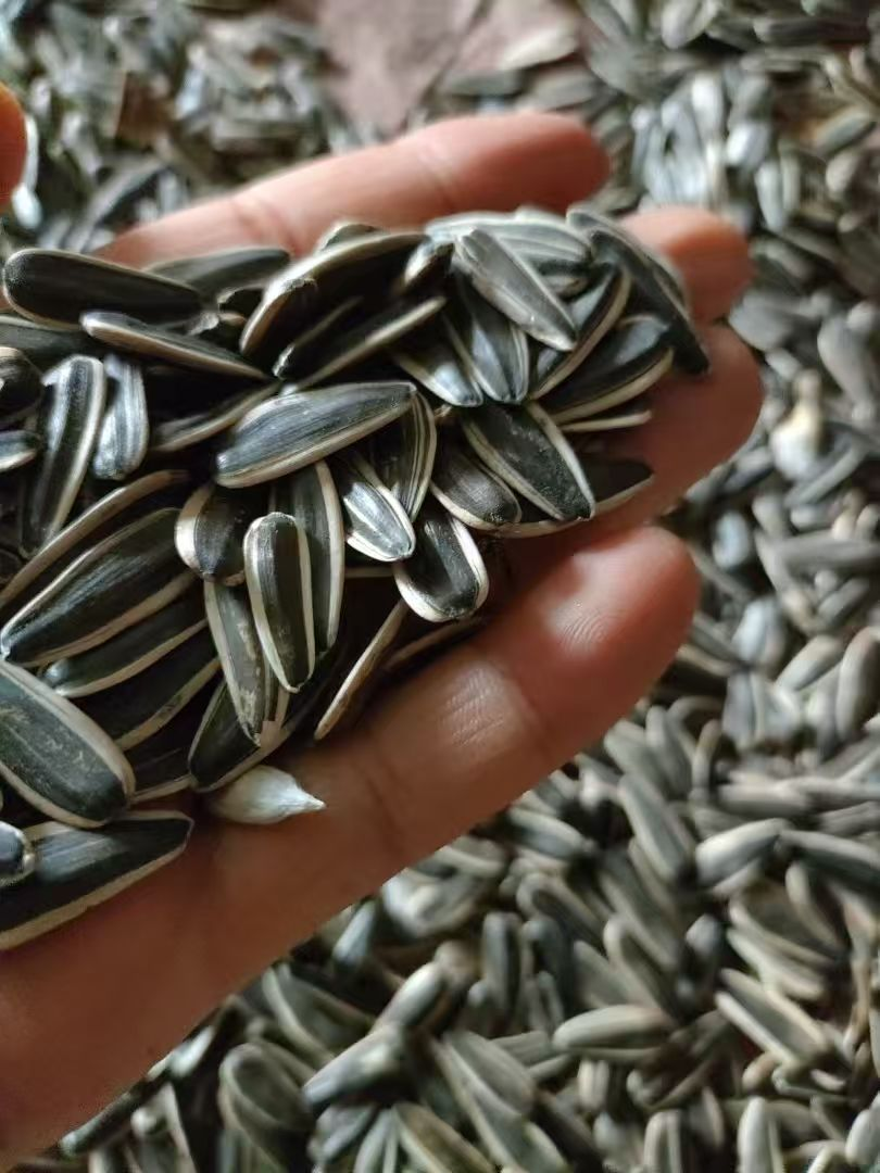 xh6388�����ء�(�й���)���޹�˾����